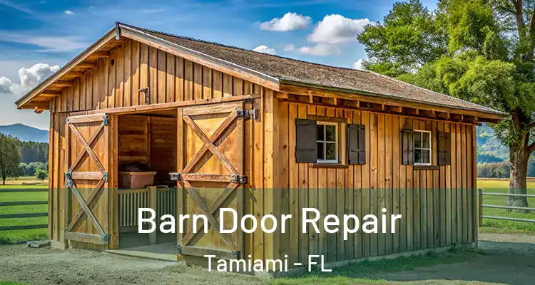  Barn Door Repair Tamiami - FL