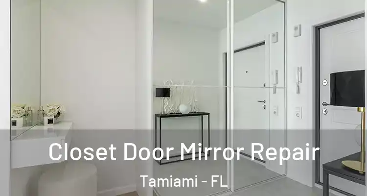  Closet Door Mirror Repair Tamiami - FL