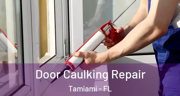  Door Caulking Repair Tamiami - FL