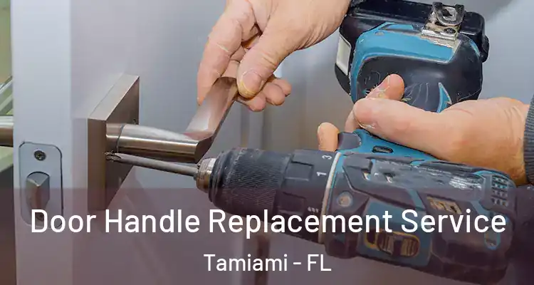  Door Handle Replacement Service Tamiami - FL