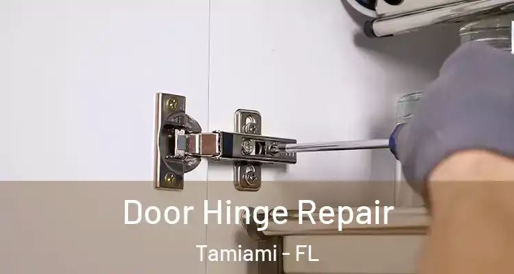  Door Hinge Repair Tamiami - FL