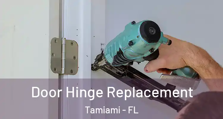  Door Hinge Replacement Tamiami - FL