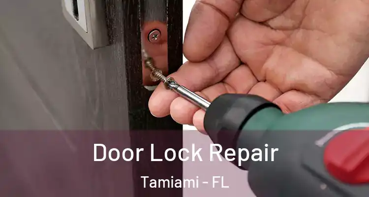  Door Lock Repair Tamiami - FL