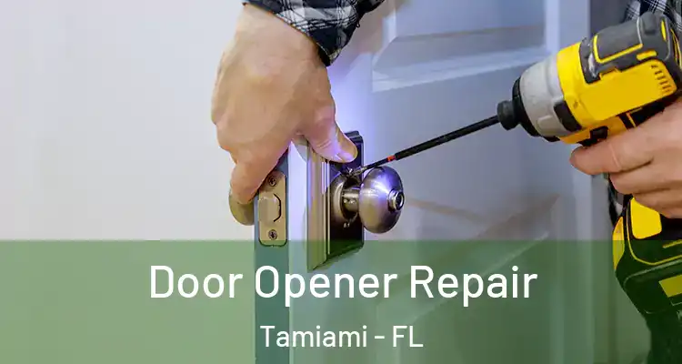  Door Opener Repair Tamiami - FL