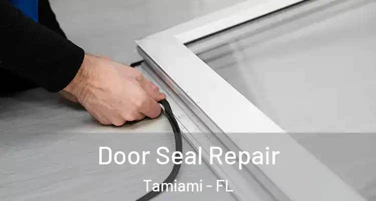  Door Seal Repair Tamiami - FL