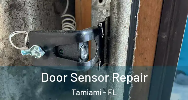  Door Sensor Repair Tamiami - FL