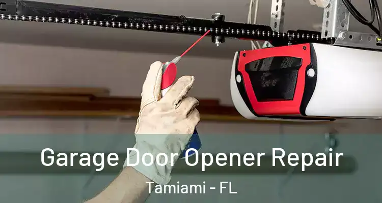  Garage Door Opener Repair Tamiami - FL