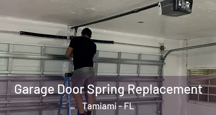  Garage Door Spring Replacement Tamiami - FL