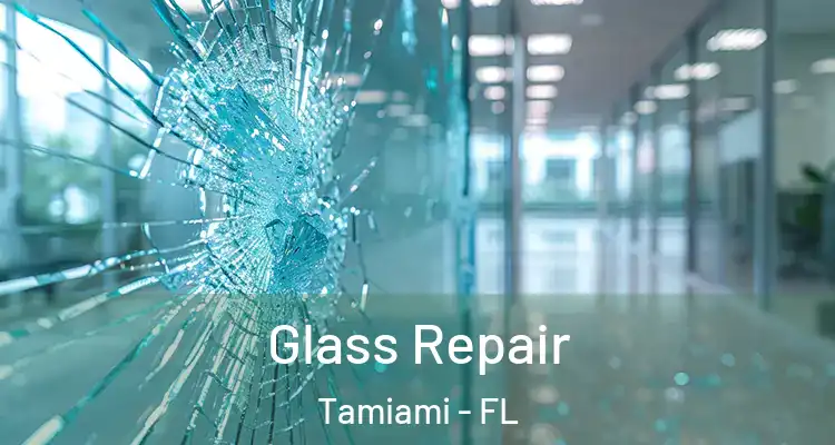  Glass Repair Tamiami - FL
