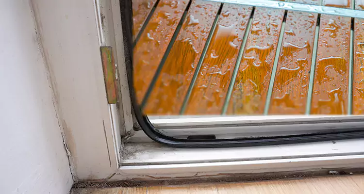 Water Leaking Wooden Patio Doors Repair in Tamiami, FL