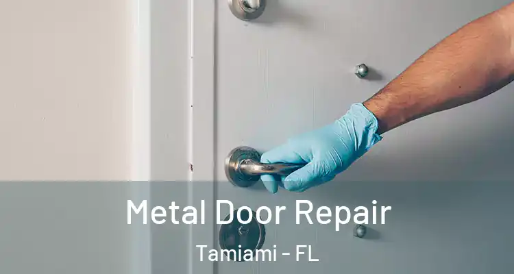  Metal Door Repair Tamiami - FL
