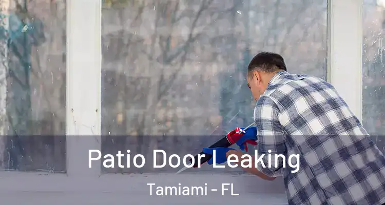  Patio Door Leaking Tamiami - FL