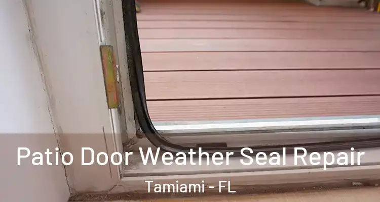  Patio Door Weather Seal Repair Tamiami - FL