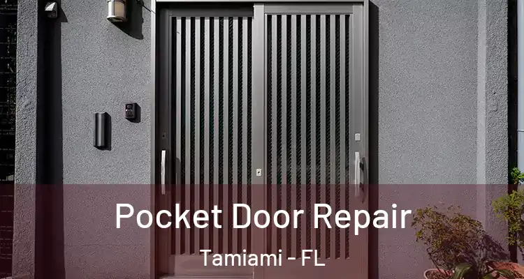  Pocket Door Repair Tamiami - FL