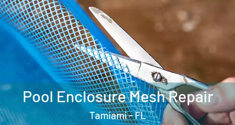  Pool Enclosure Mesh Repair Tamiami - FL
