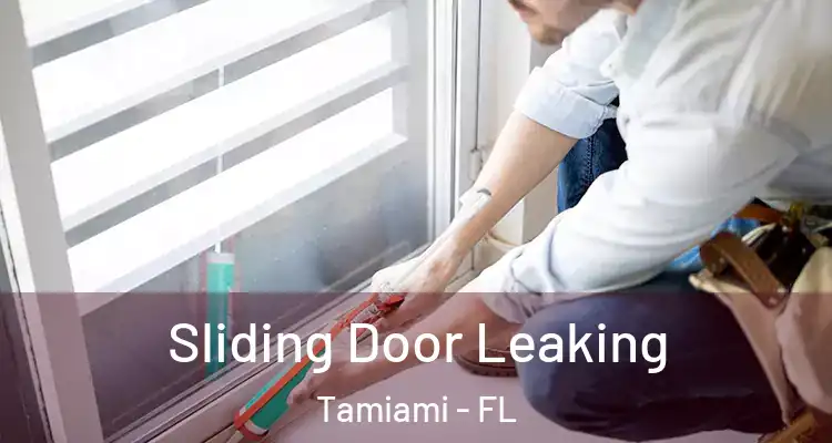  Sliding Door Leaking Tamiami - FL