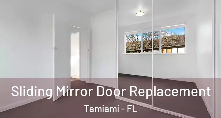  Sliding Mirror Door Replacement Tamiami - FL