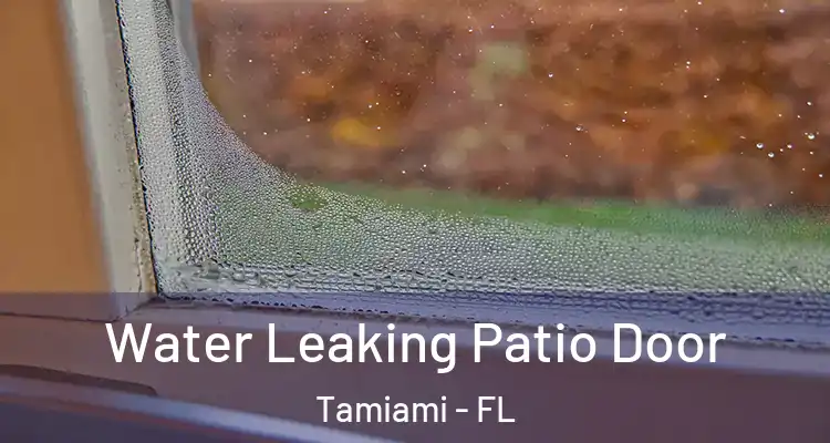  Water Leaking Patio Door Tamiami - FL