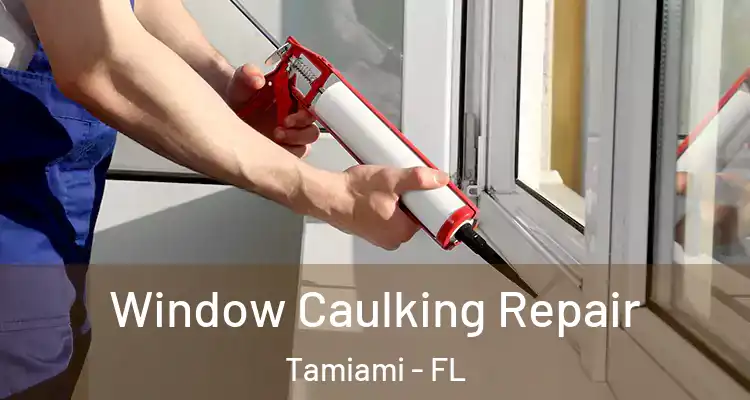  Window Caulking Repair Tamiami - FL