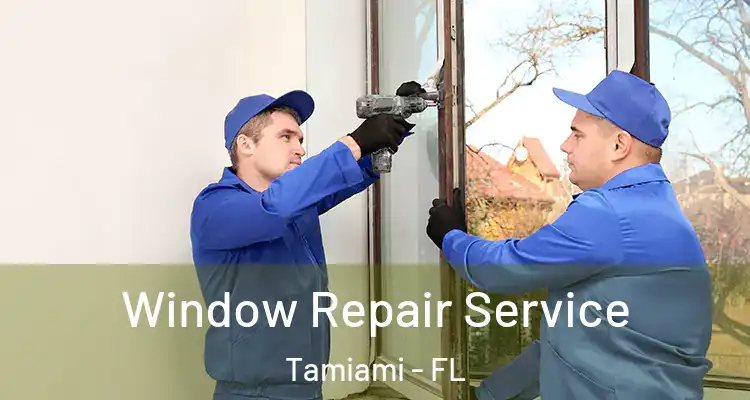  Window Repair Service Tamiami - FL