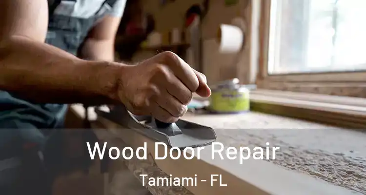  Wood Door Repair Tamiami - FL